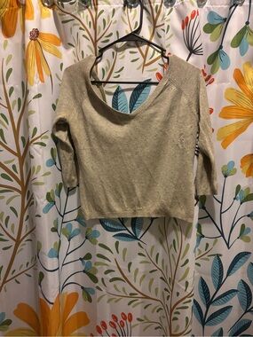 The Limited Neutral Beige Scoop-Neck Crop Top